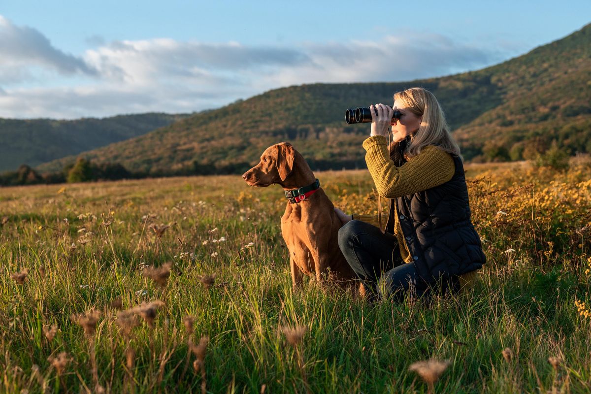 L'importanza del cane nell'arte venatoria