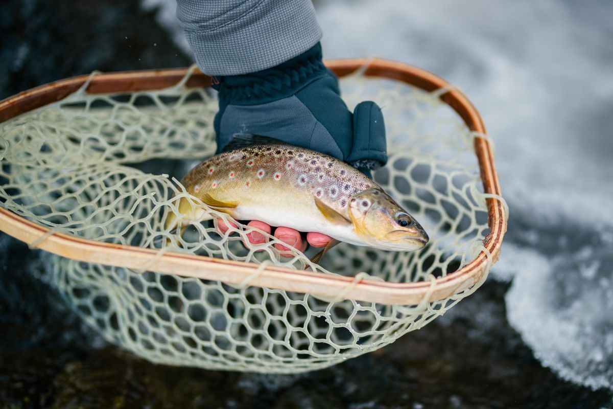fishing industry, rivers and oceans, camping