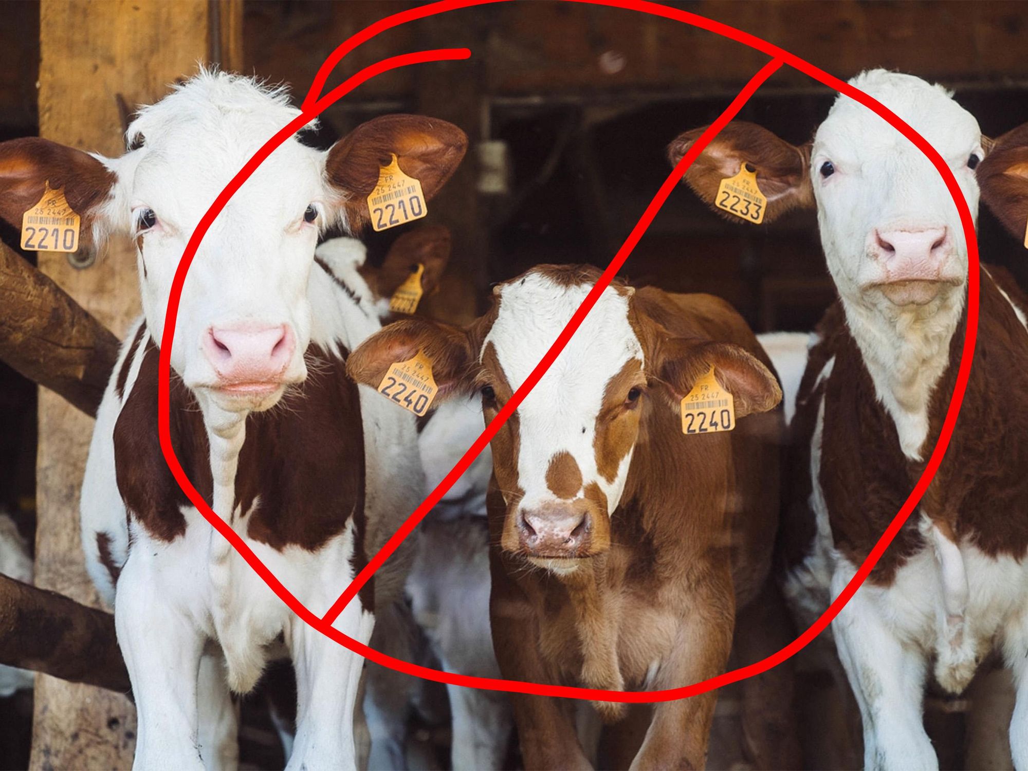 7 kinds of animals that you can eat with no factory farm involved - Upworthy 7 kinds of animals that you can eat with no factory farm involved - Upworthy