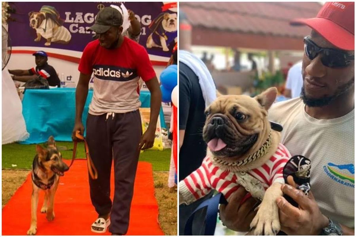 Lagos Dog Festival changes stereotypes about Africans and dogs - Upworthy