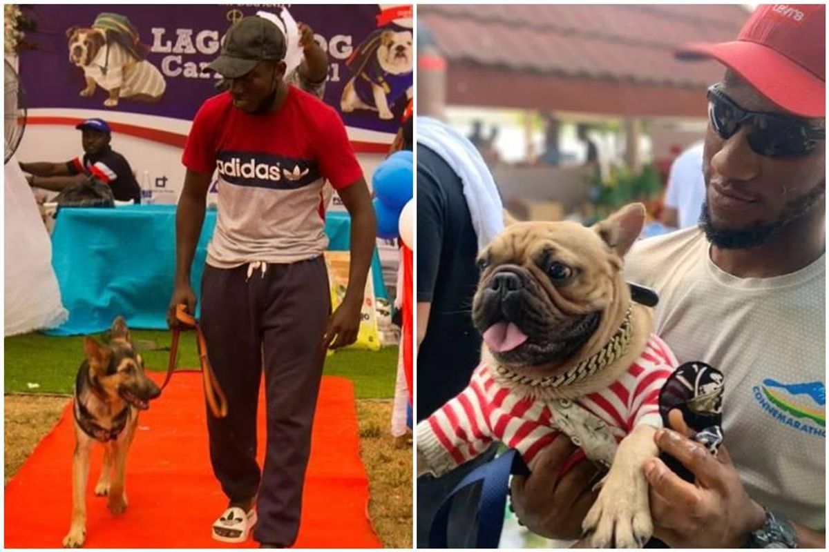Lagos Dog Festival changes stereotypes about Africans and dogs - Upworthy Lagos Dog Festival changes stereotypes about Africans and dogs - Upworthy