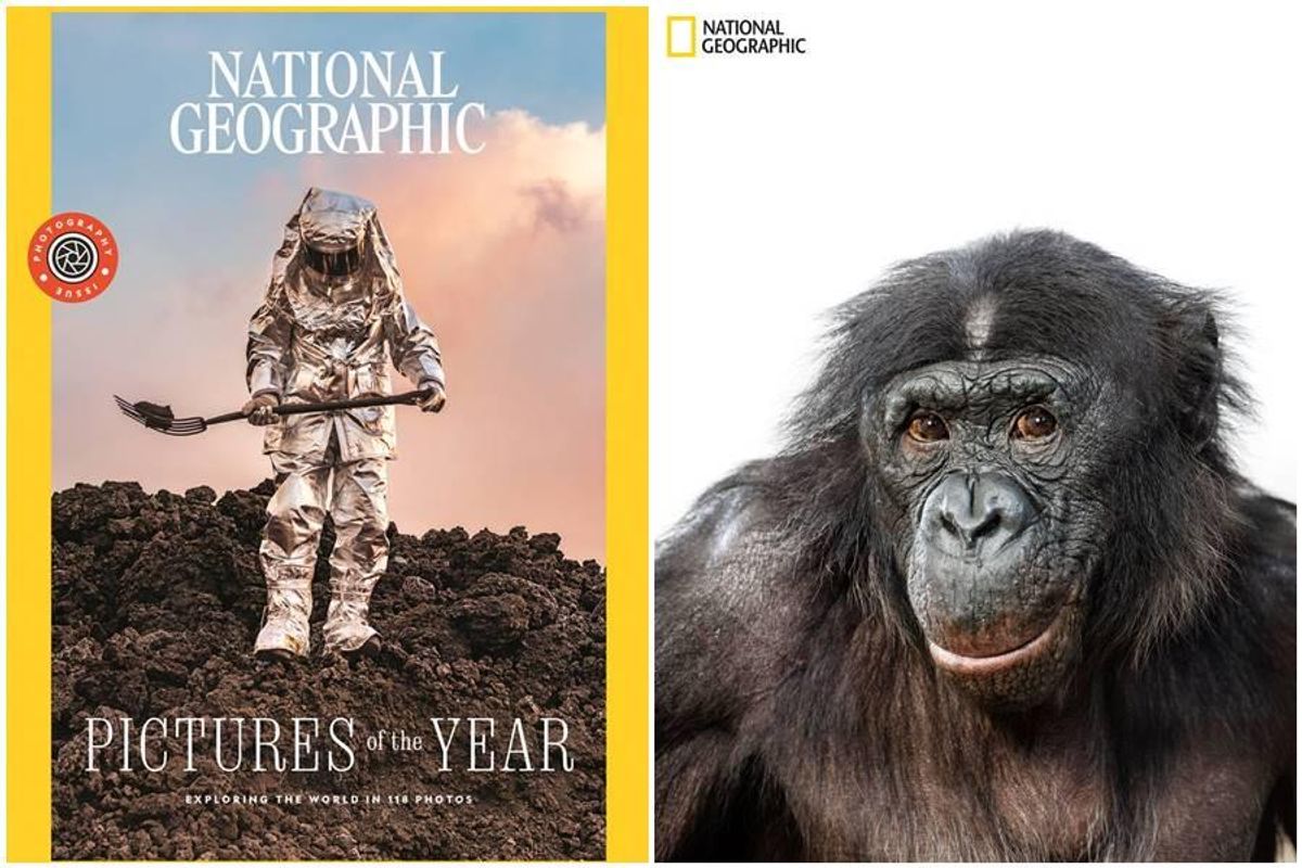 nat geo, pictures of 2022, national geographic