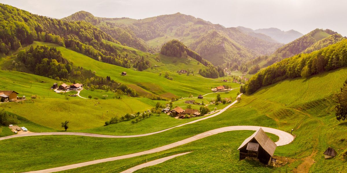 green meadow in switzerland