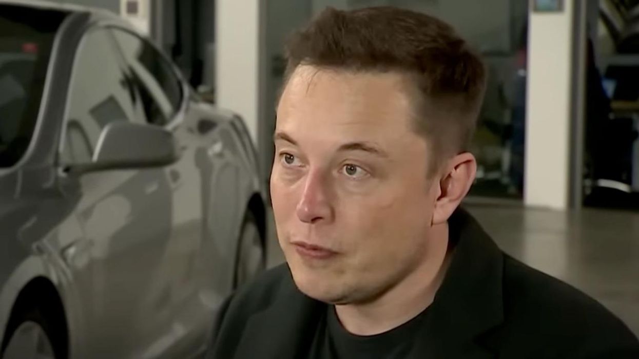 Study Shows Musk Is Mostly Reinstating Far-Right Twitter Accounts