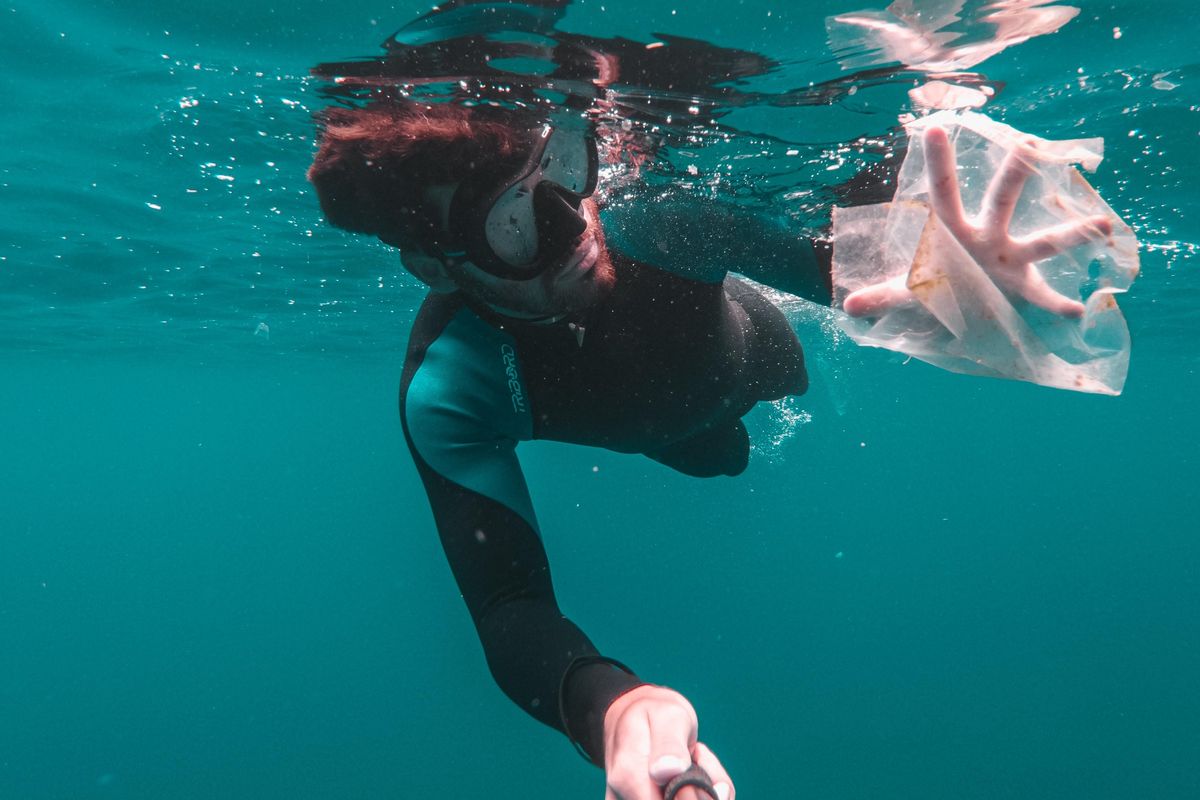 Four years ago an accident resulted in a plastic-eating mutant that just might save us all