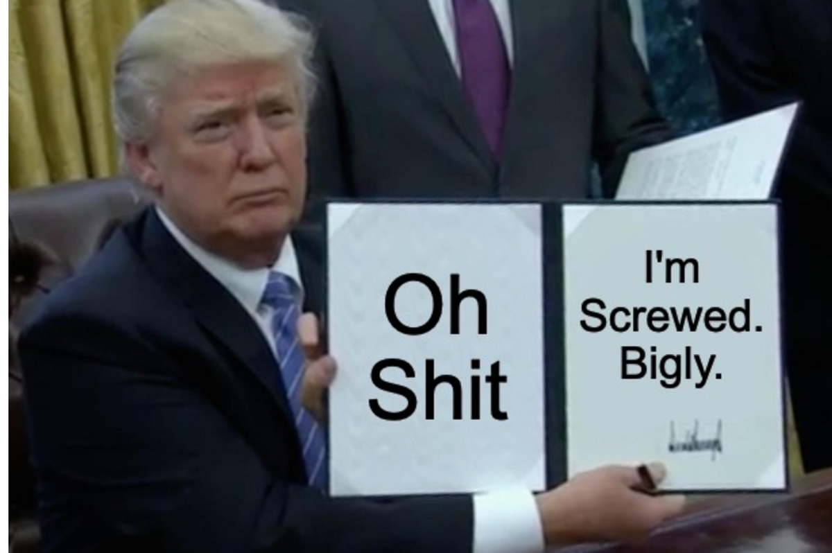 The IRS Must Have Forgotten To Audit Trump's Magnificent Taxes!