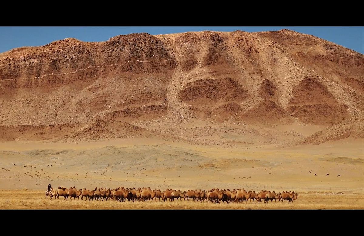 climate change, lifestyle, travel, arid regions, ritual