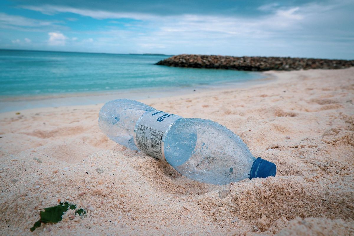 environment, water bottles, recycling, education