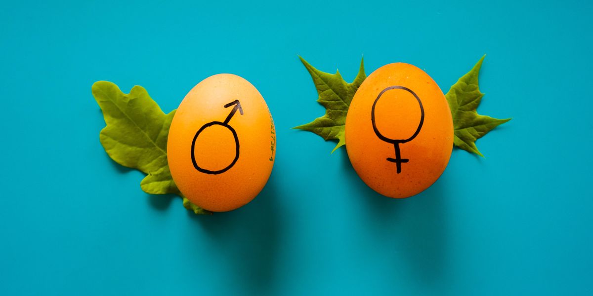 Oranges marked with male and female signs