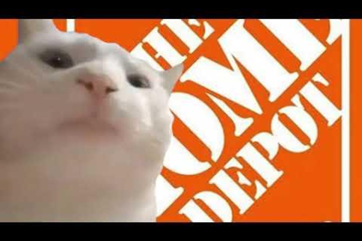 home depot, home improvement, rap