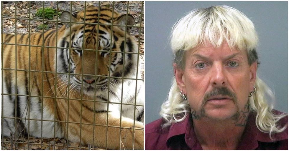 Tiger King Joe Exotic's face now appears on a cheeky line of