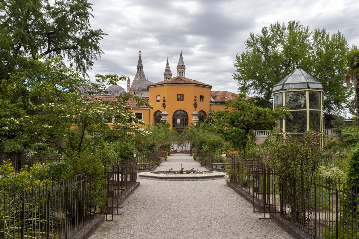 Immersione tra gli orti botanici più belli d'Italia