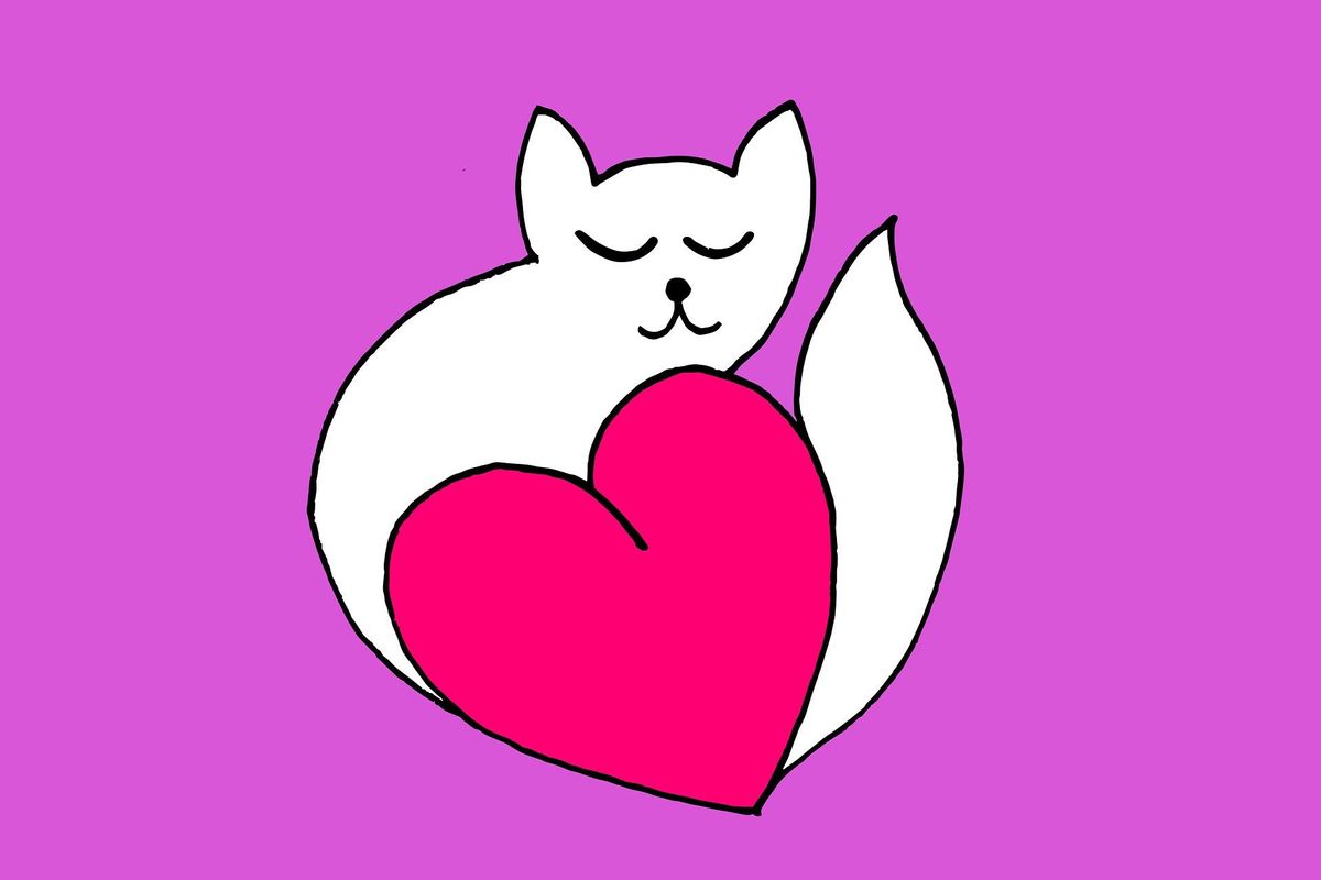 pets, companionship, strays, social media, viral