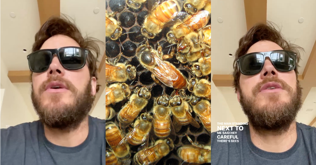 Chris Pratt and hive with bees