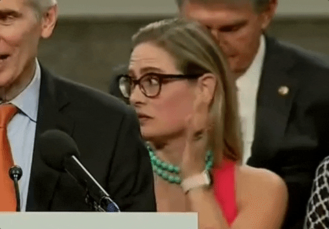 Your 2022 Legislative Shitmuffin, By Default, Is Kyrsten Sinema (Hooray)