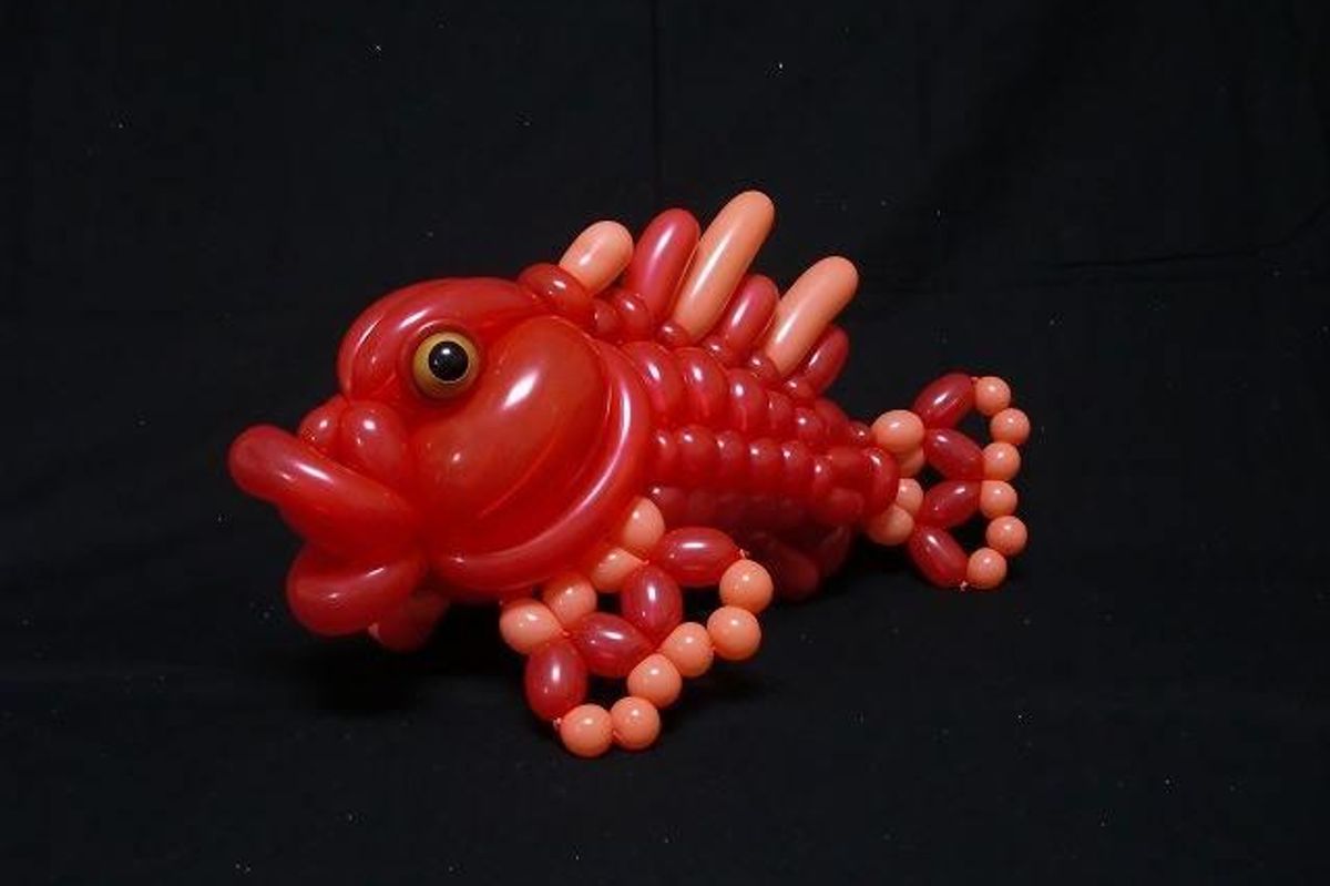 fish, artistry, method, knowledge