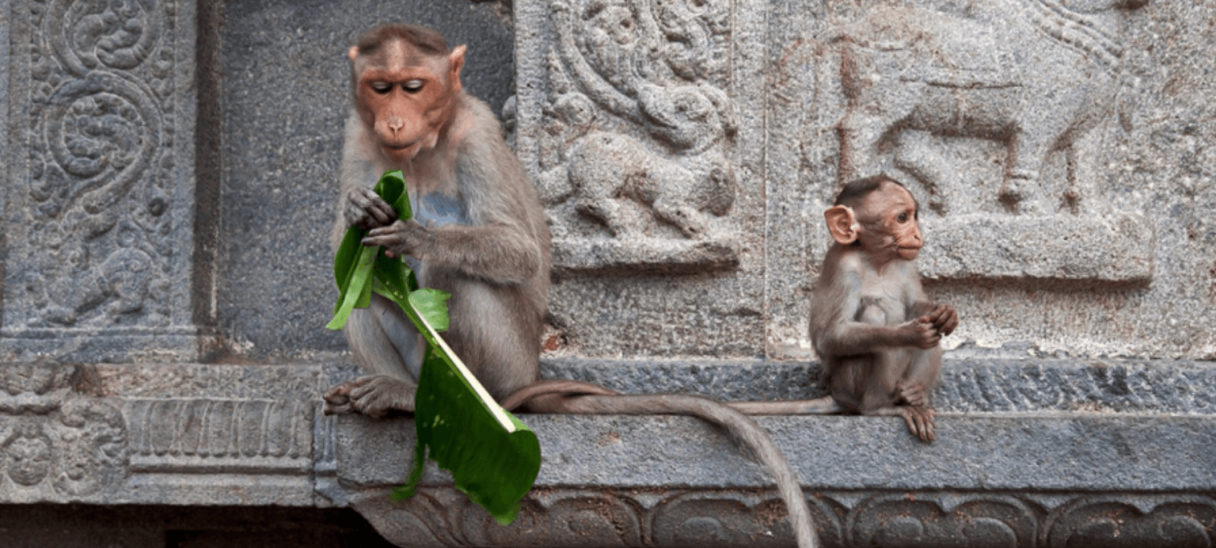 Virus africani? Di malaria muoiono 1.800 persone al giorno