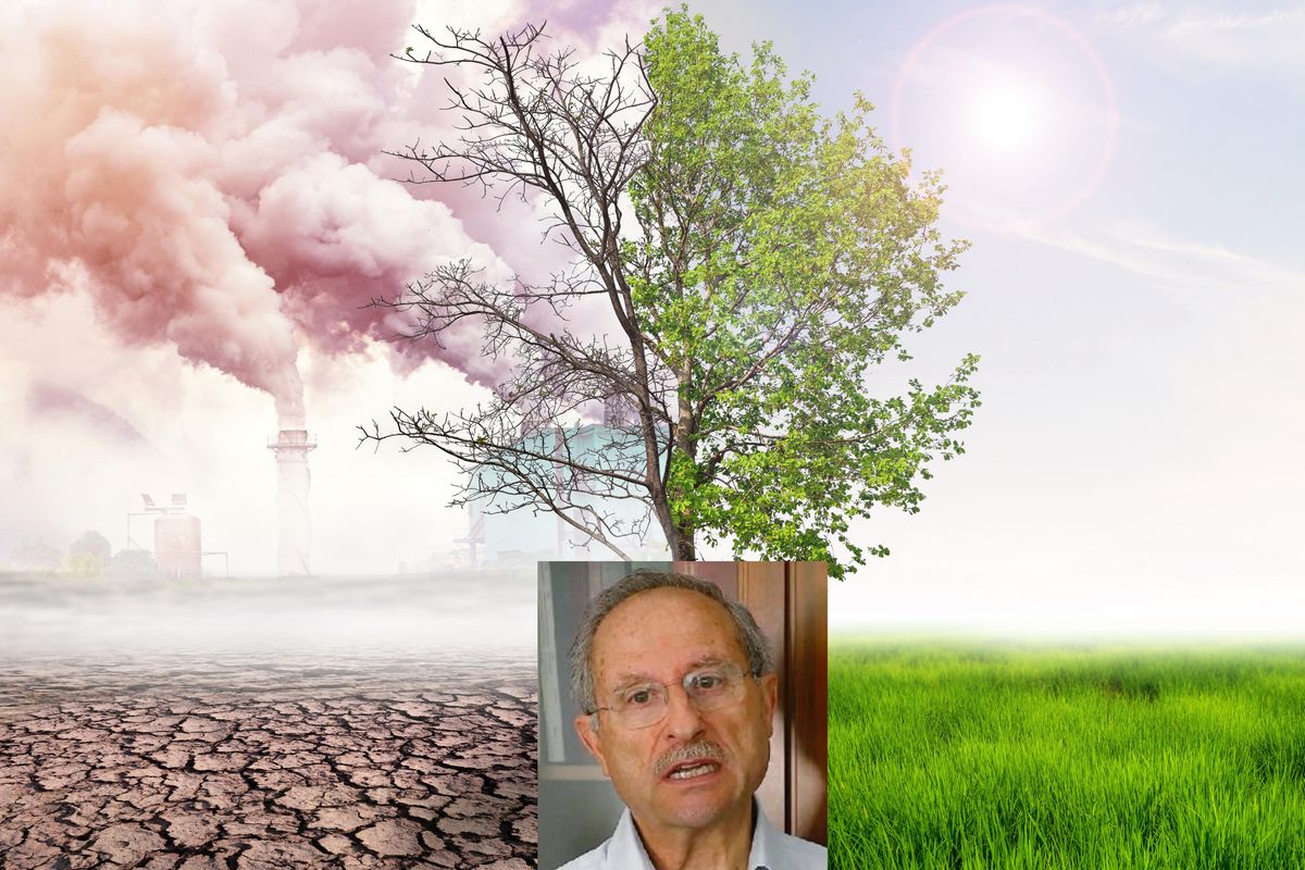 «Vi svelo le bugie della green economy»