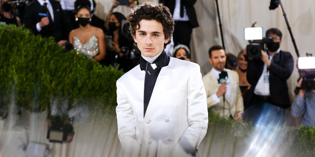 Timothée Chalamet 'Hasn’t Auditioned for Anything' in Over Seven Years