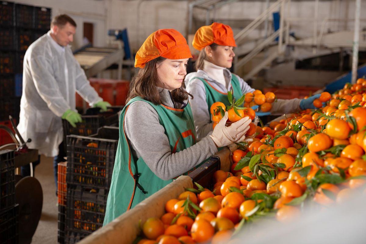 L’economia italiana può fare meglio delle previsioni. Cruciali export e agricoltura