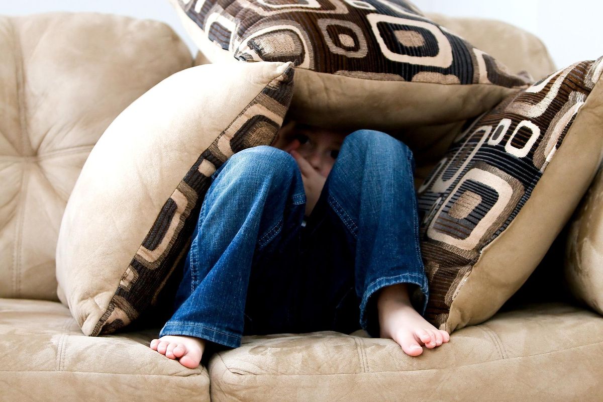 emotional intelligence, research, biology of fear, coping with stress