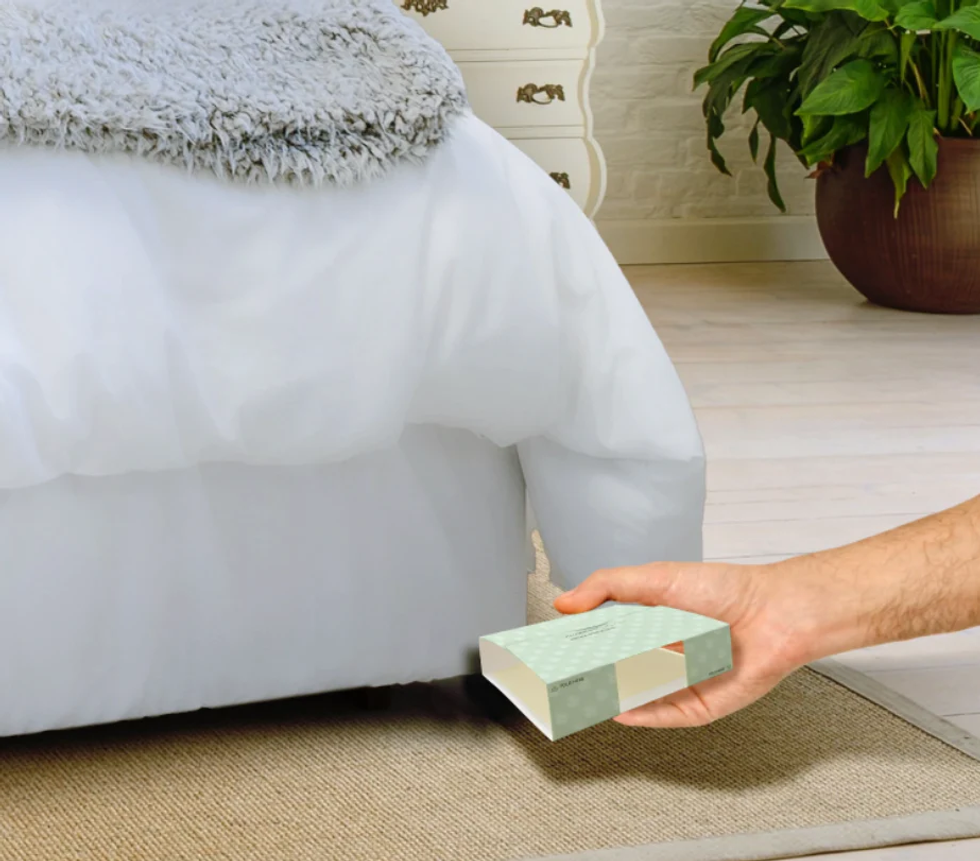 Difference Between Bed Bug Sticky Traps and Bed Bug Sprays