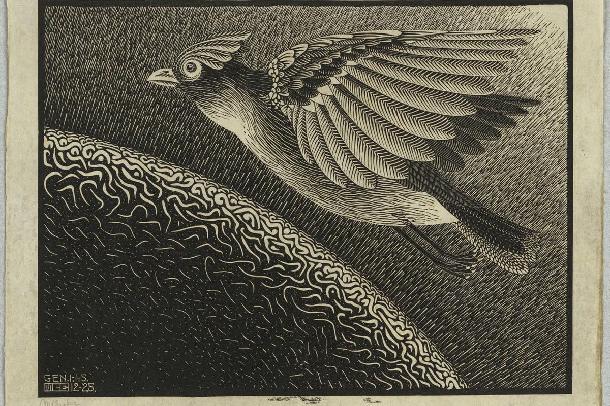 Escher al museo degli Innocenti di Firenze