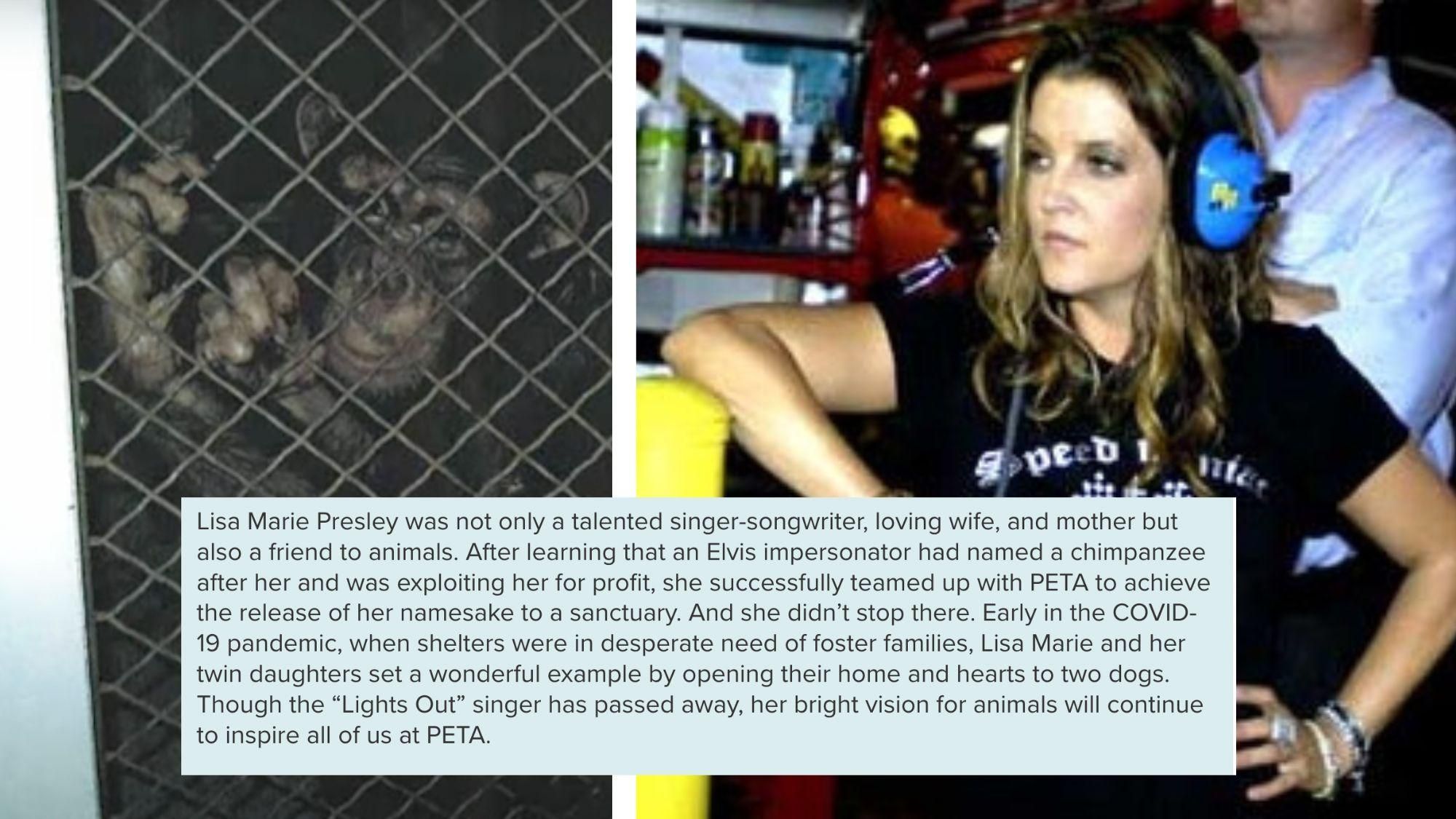lisa marie presley, lisa marie presley death