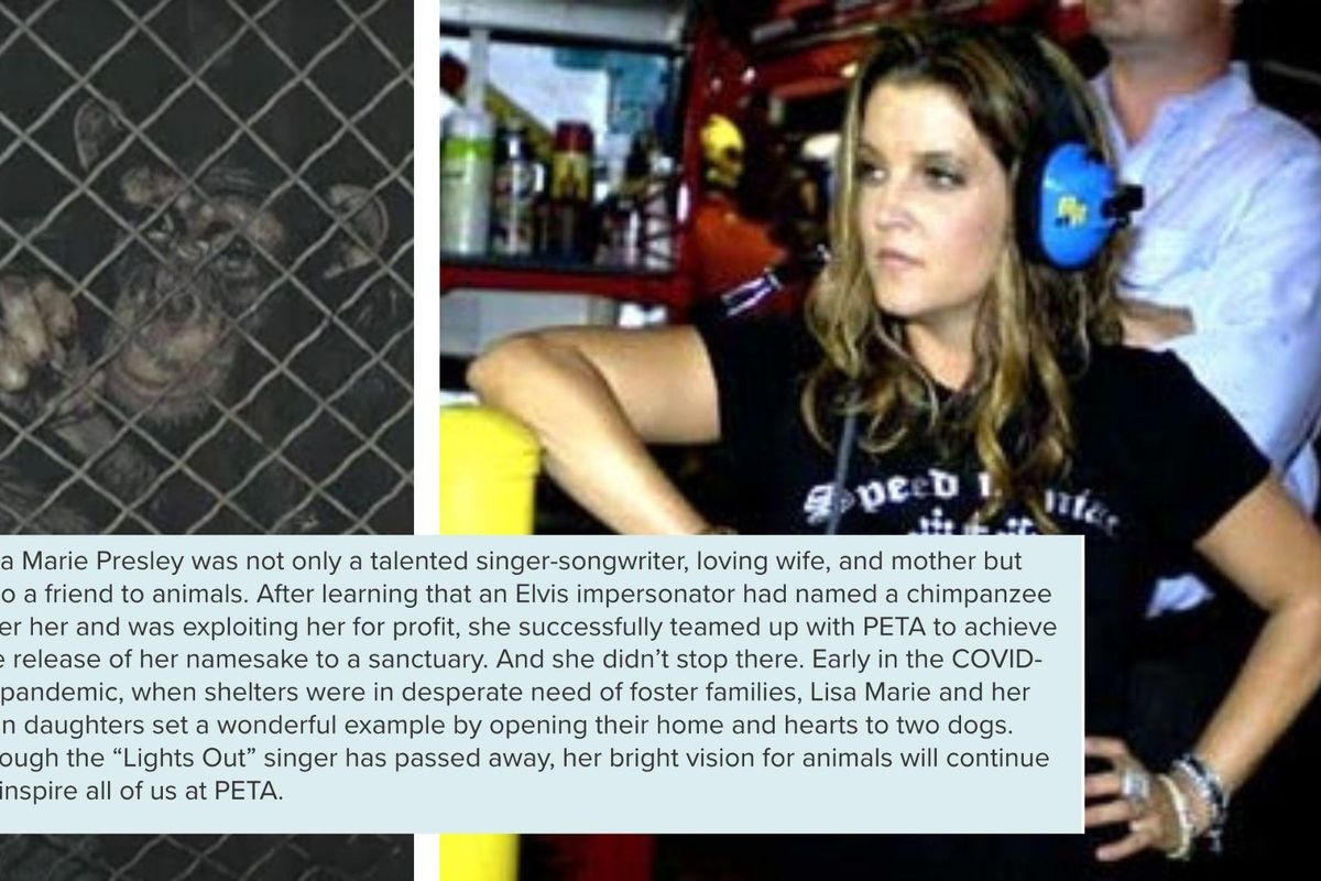 lisa marie presley, lisa marie presley death