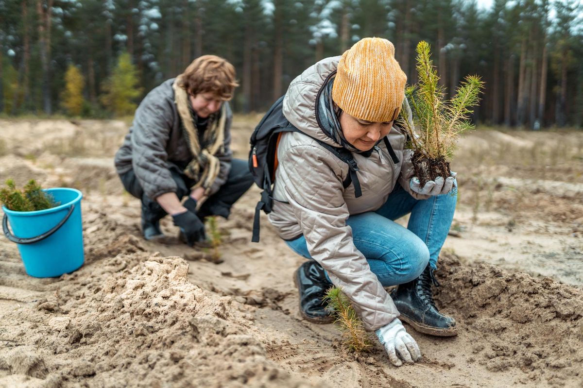 L’Europa prepara il nuovo cappio verde: un piano aggressivo per la riforestazione