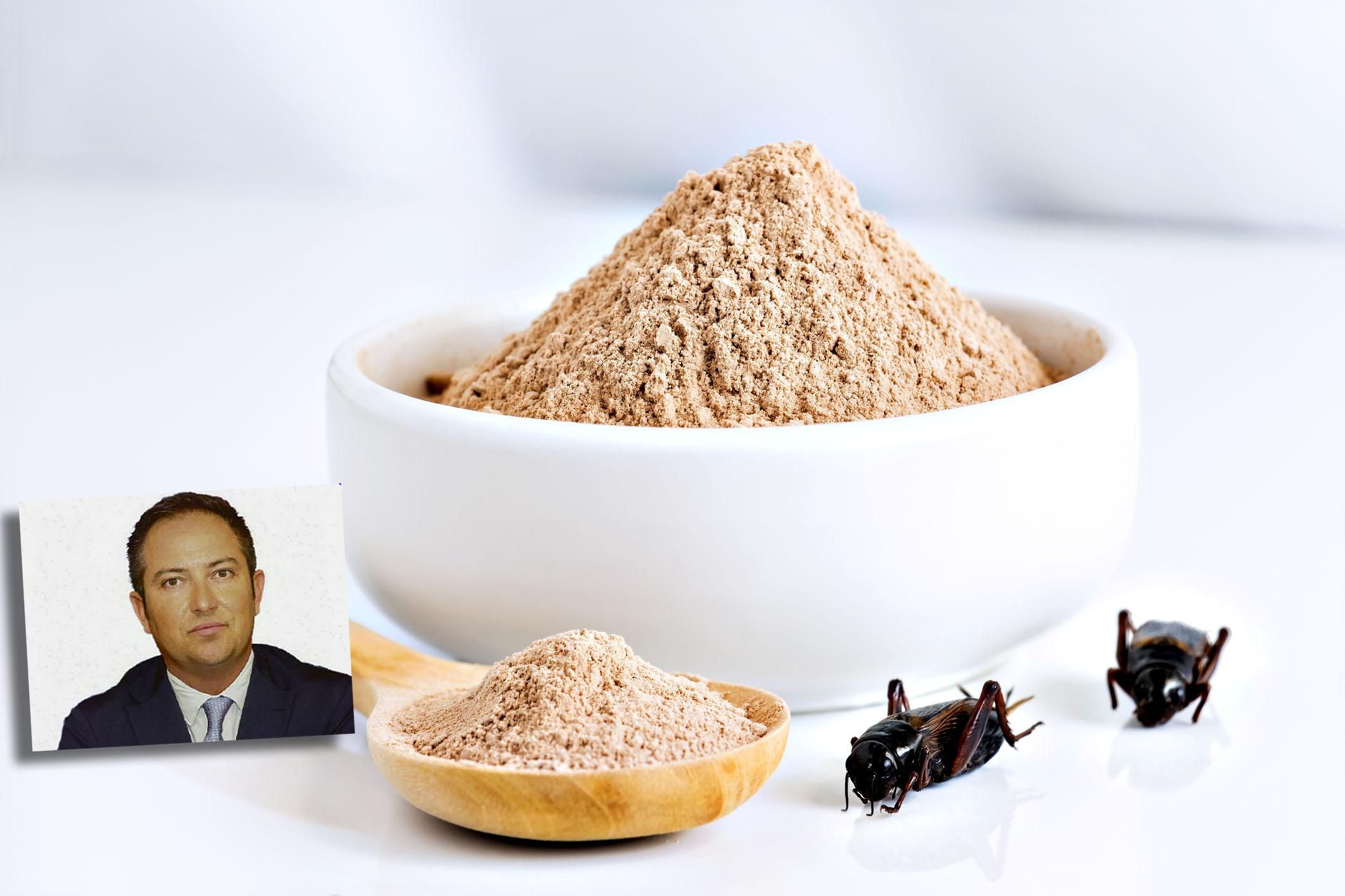 «Il sì alla vendita di farina di grilli è un’arma di distrazione di massa»