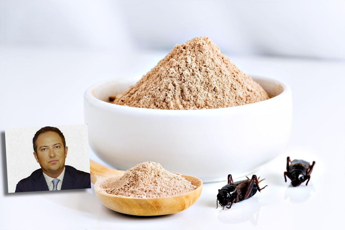 «Il sì alla vendita di farina di grilli è un’arma di distrazione di massa»