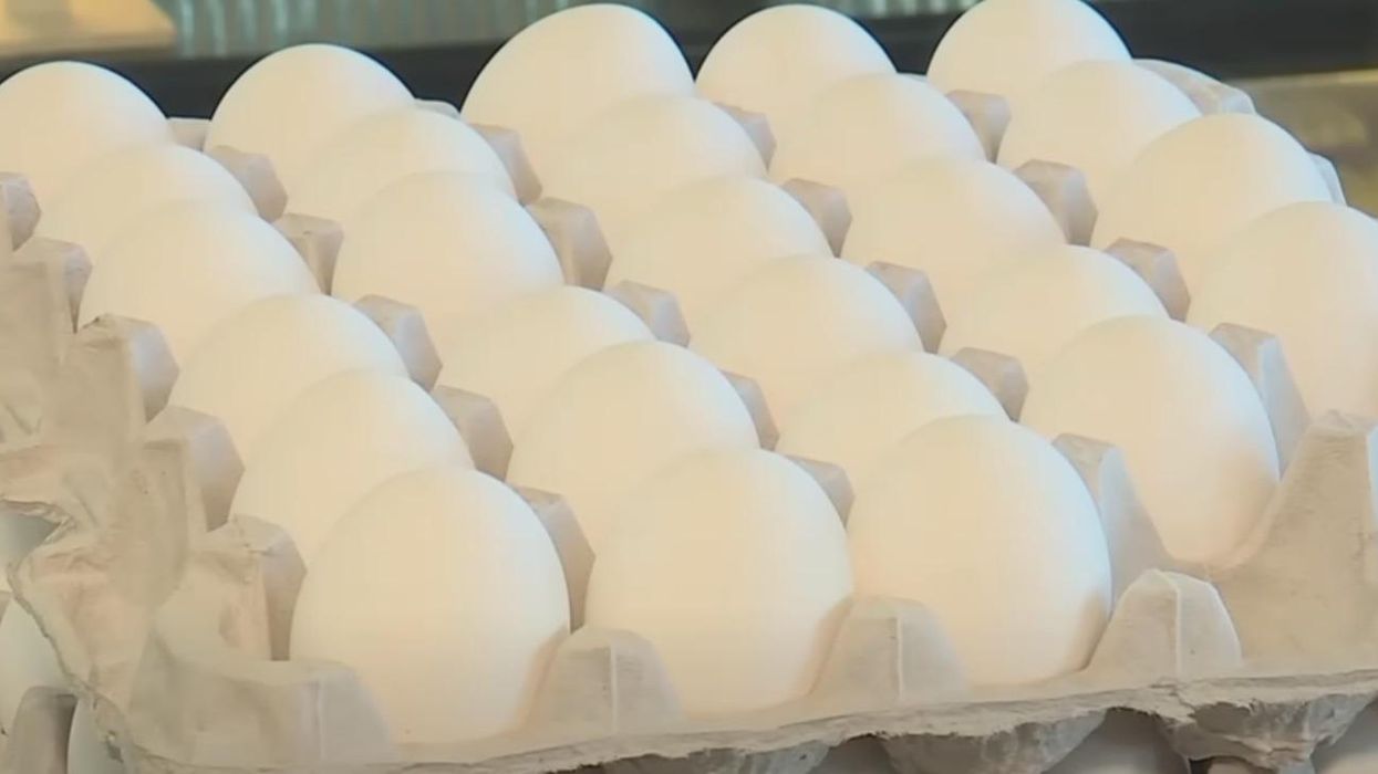 Despite Scare Headlines, Egg Prices Are Already Cracking