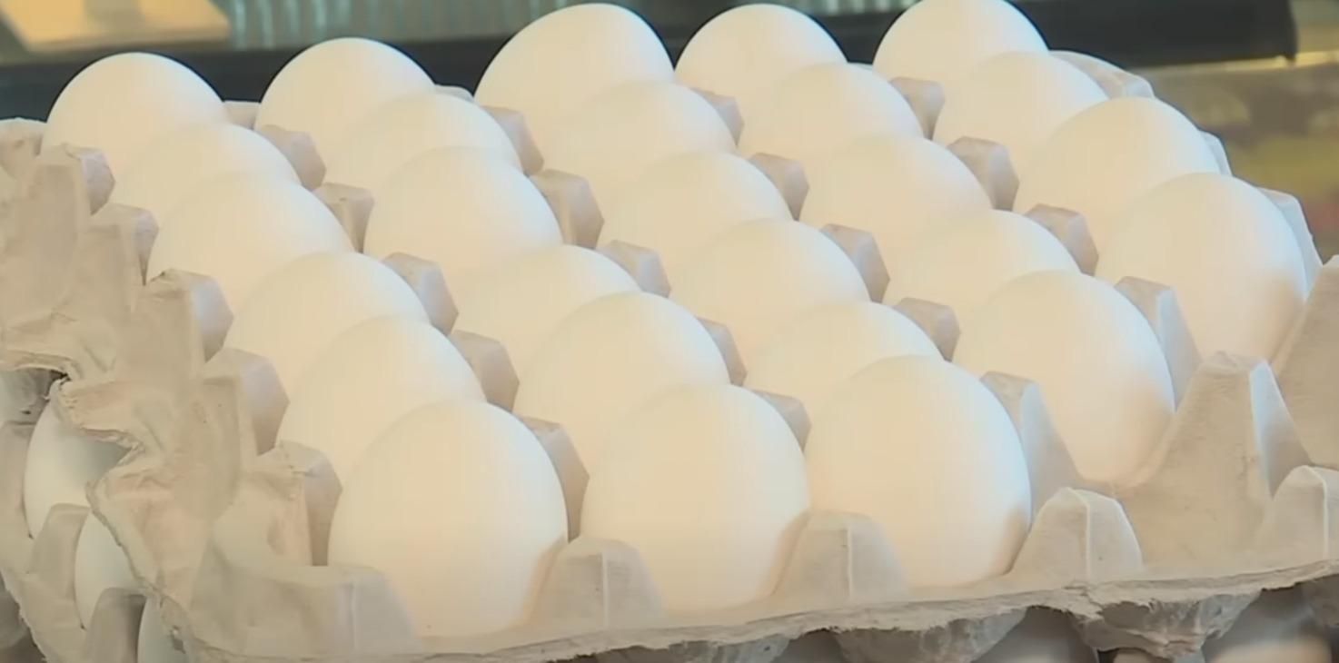 Despite Scare Headlines, Egg Prices Are Already Cracking