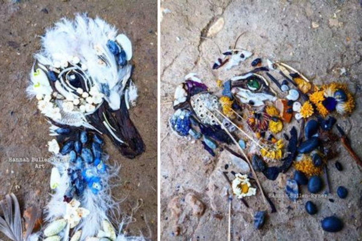 land art, animals