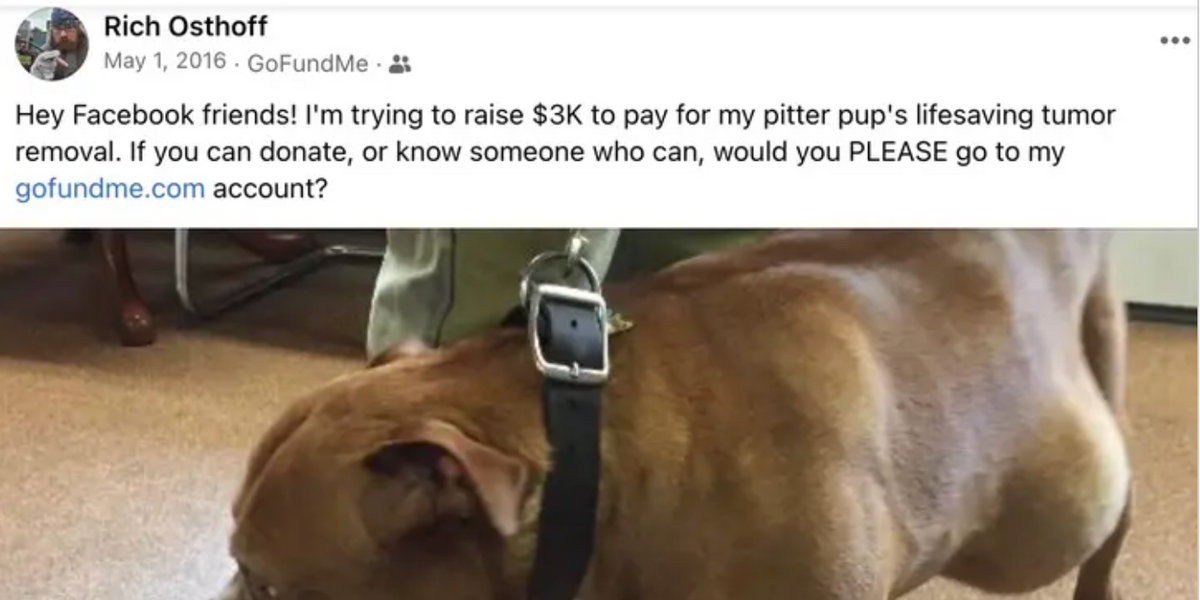 George Santos, Seni Pis Köpek