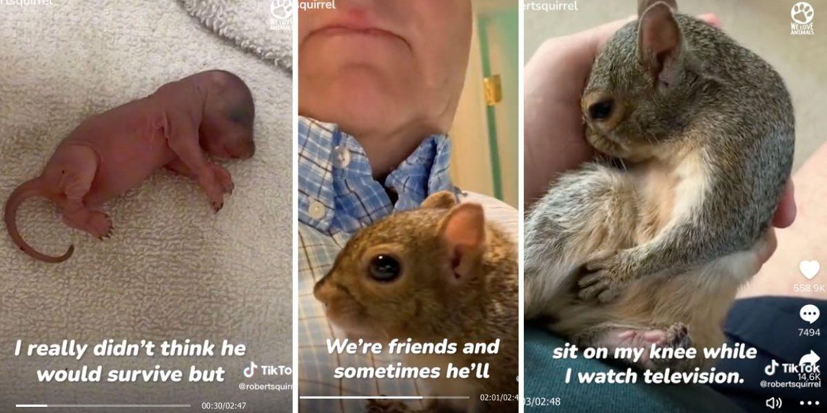 He found a newborn squirrel in his driveway and raised it. Their relationship is adorable.