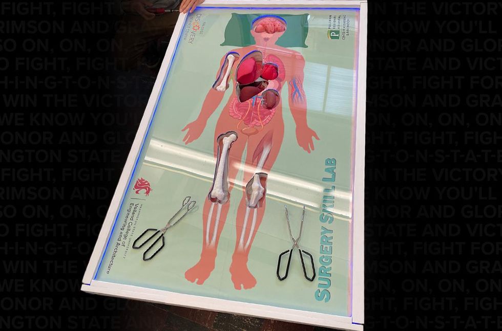 operation game, human body