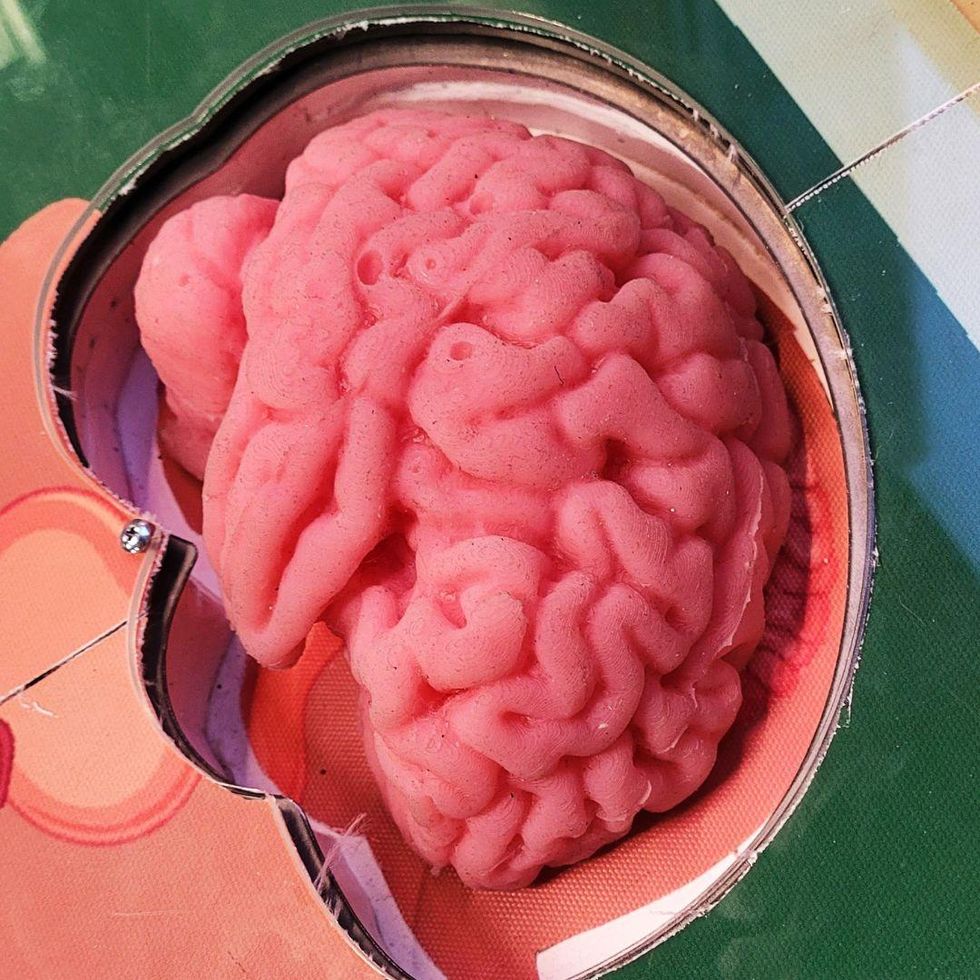 brain, operation game