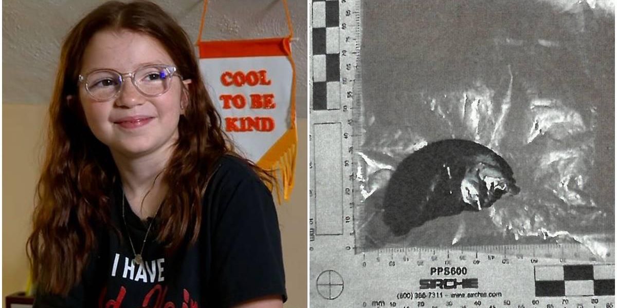 10-year-old launched DNA investigation into Santa - Vimarsana News