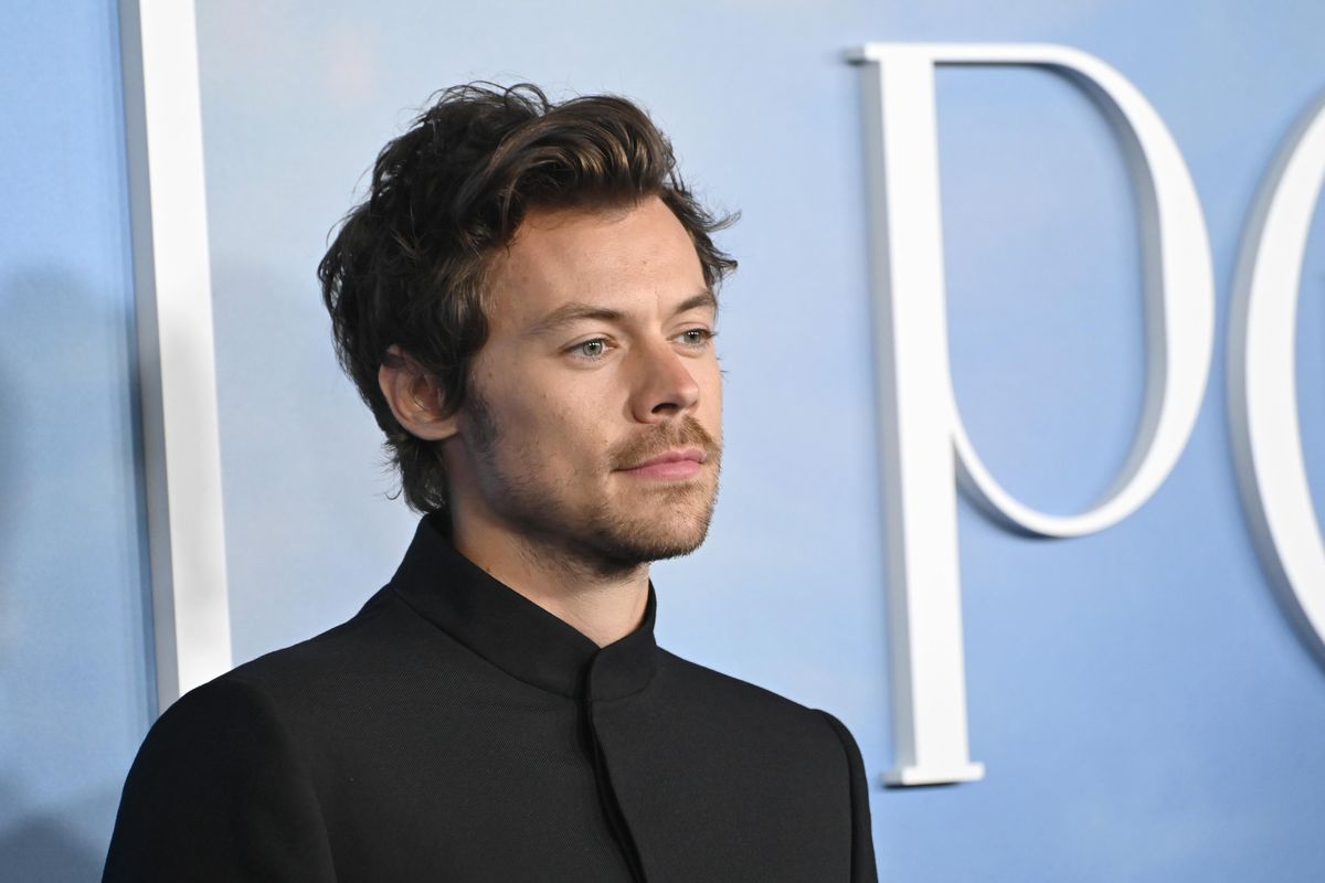 Everything We Know About Harry Styles’ New Brand, "Pleasing"