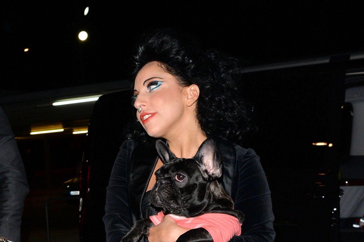 Does Lady Gaga Even Care That Her Dog Walker Was Shot?