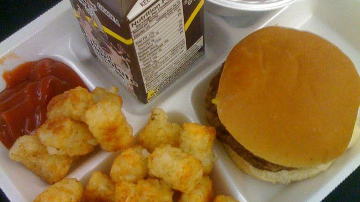 Idaho GOPer Wants Kids To Work For Their Tater Tots