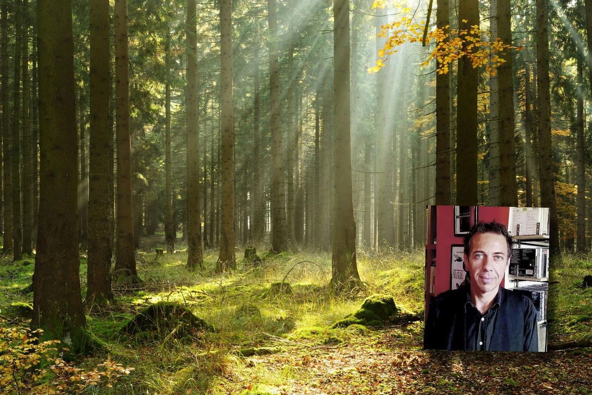 Luca Ragagnin: «Il silenzio degli alberi mi dà sollievo»