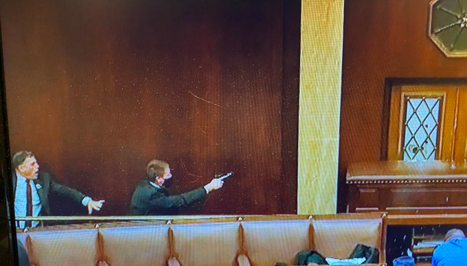 Photograph of a cowering Andrew Clyde behind a Capitol Police Officer on January 6, 2021