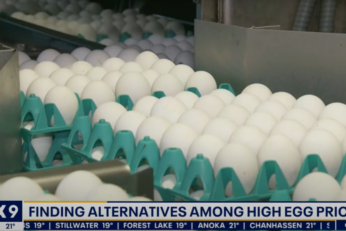 The Egg-onomic Truth About Joe Biden's Egg-Flation!