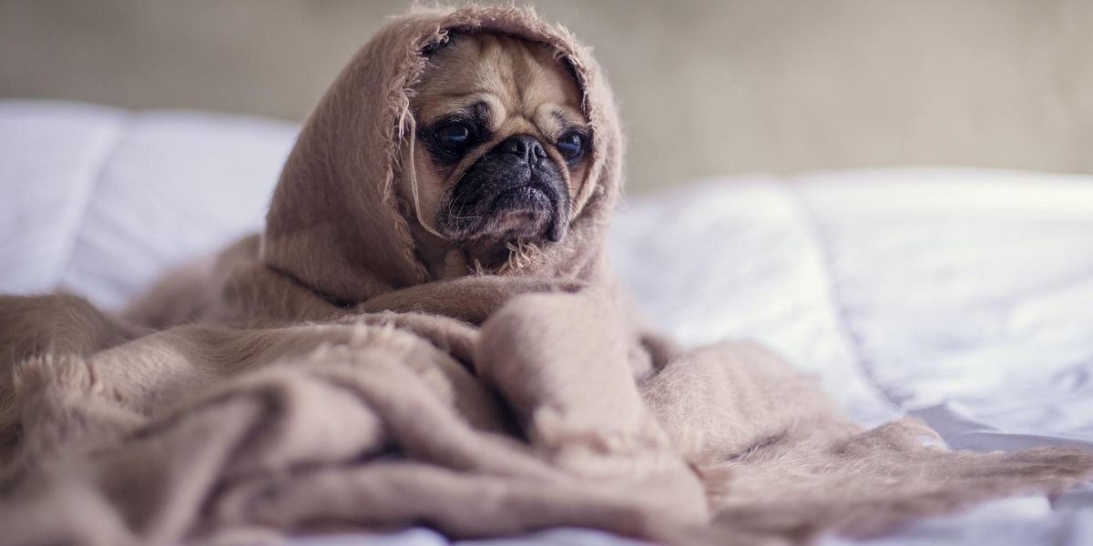People Explain Which Movies Made Them Think, 'Holy Sh*t, There's Still 50 Minutes Left?'