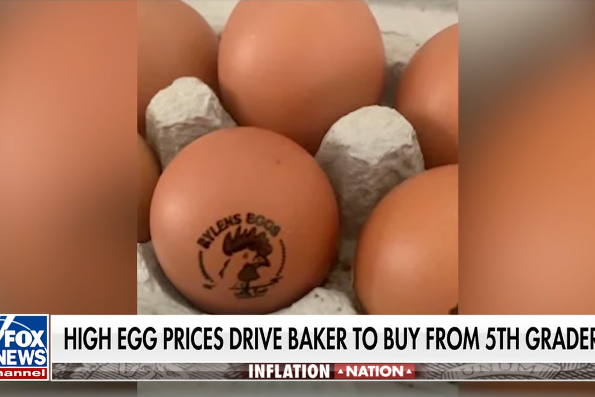 egg prices; eggs; North Carolina; fresh eggs