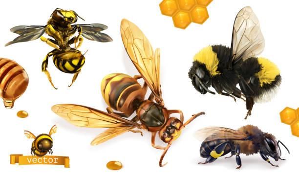 Get Rid Of Bees In A Day Or Less! These Are The Best Services Around