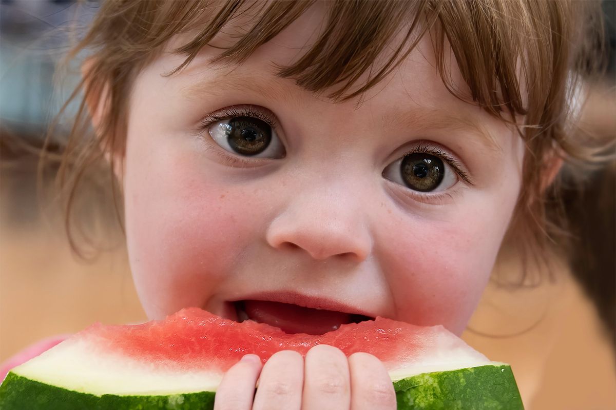 getting toddlers to eat, what to toddlers eat, toddler friendly foods